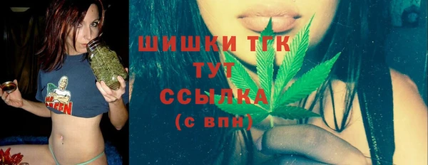 стафф Богородицк