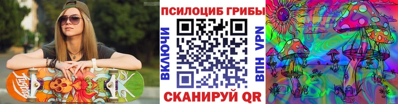 магазин продажи   Нерчинск  Галлюциногенные грибы прущие грибы 