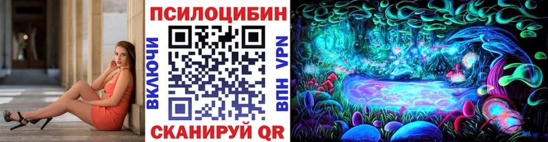 Псилоцибиновые грибы мицелий Нерчинск